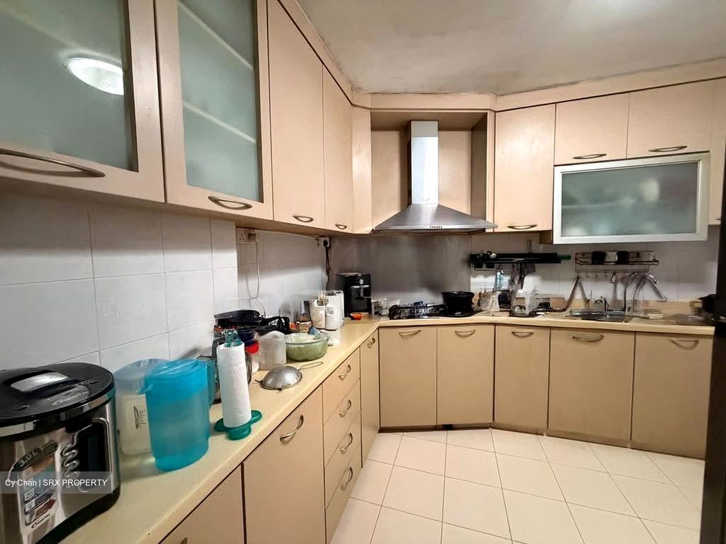 Blk 521 Pangshan Valley (Bukit Panjang), HDB Executive #621686271